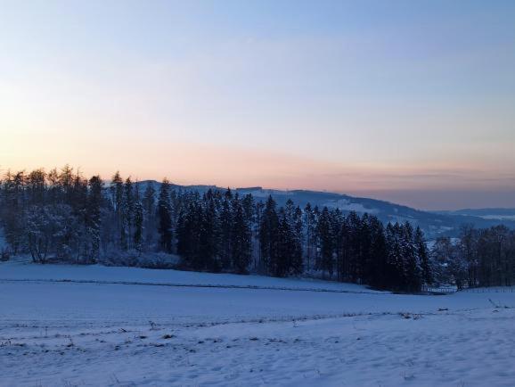 Modernes Rhombushaus Im Naturparadies Sauerland Balve Exterior photo