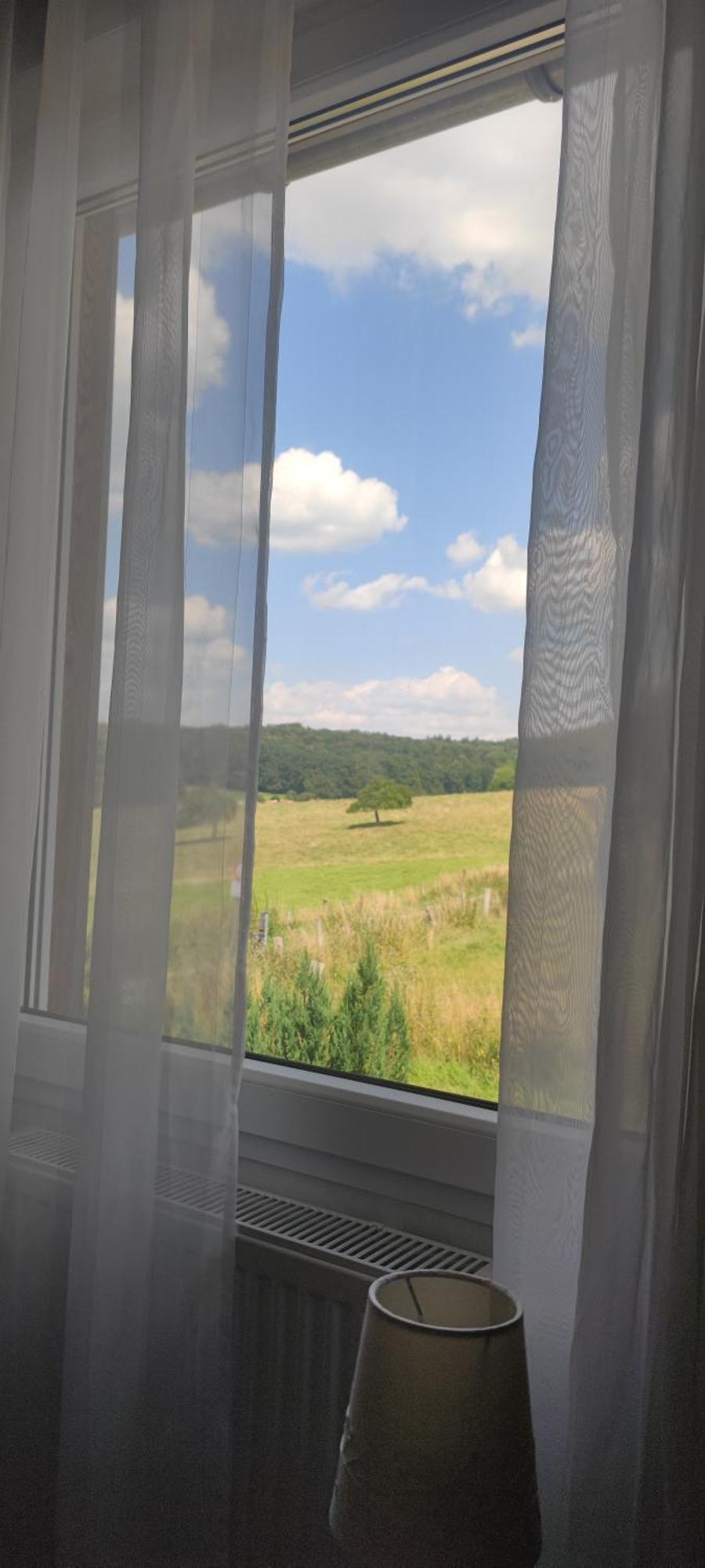 Modernes Rhombushaus Im Naturparadies Sauerland Balve Exterior photo